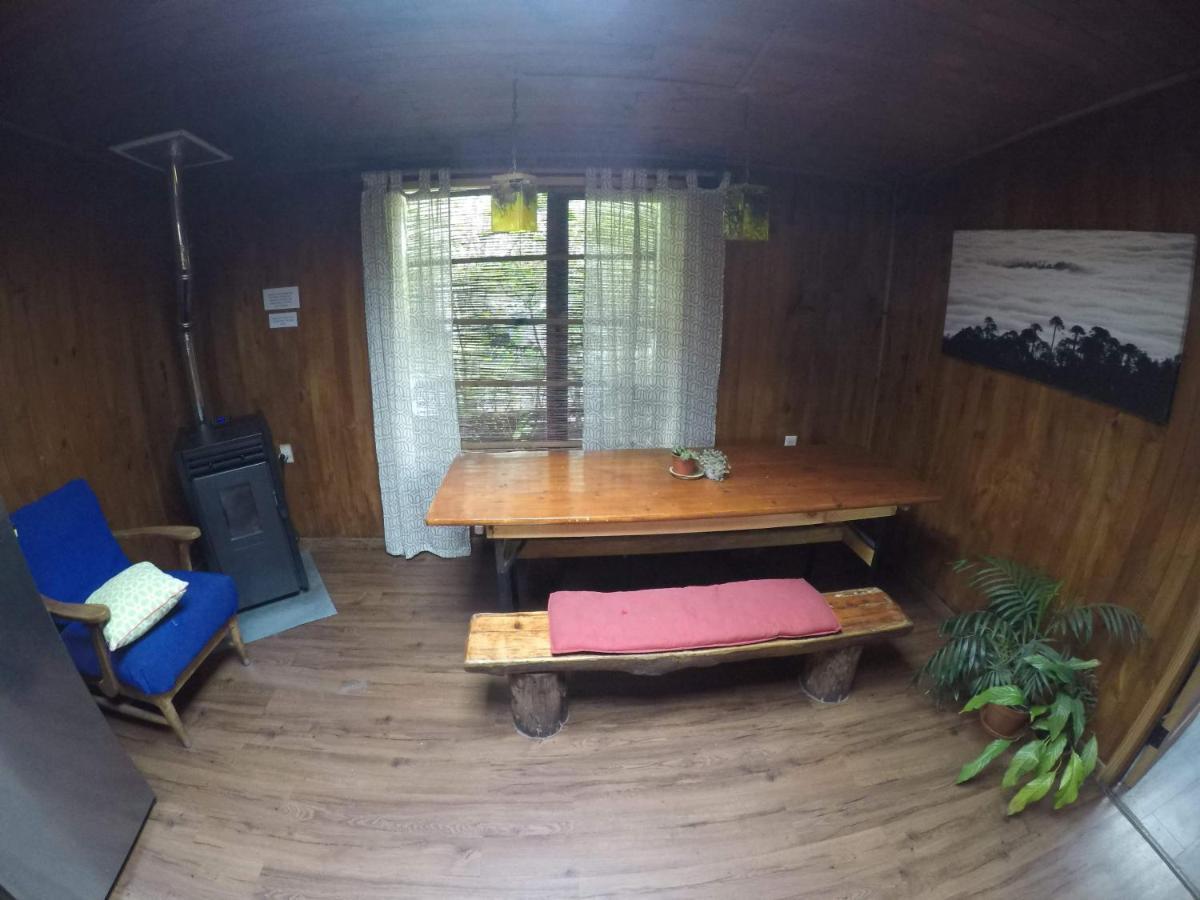 Chili Kiwi Lakefront Backpackers Pucón Extérieur photo