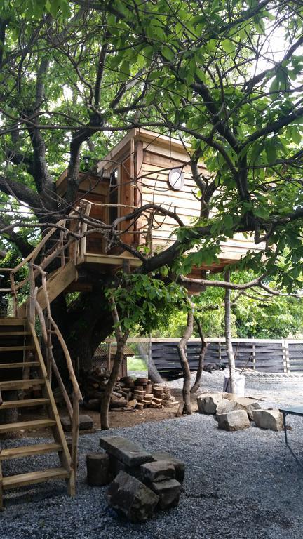Chili Kiwi Lakefront Backpackers Pucón Extérieur photo