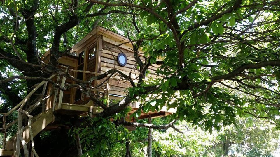 Chili Kiwi Lakefront Backpackers Pucón Chambre photo