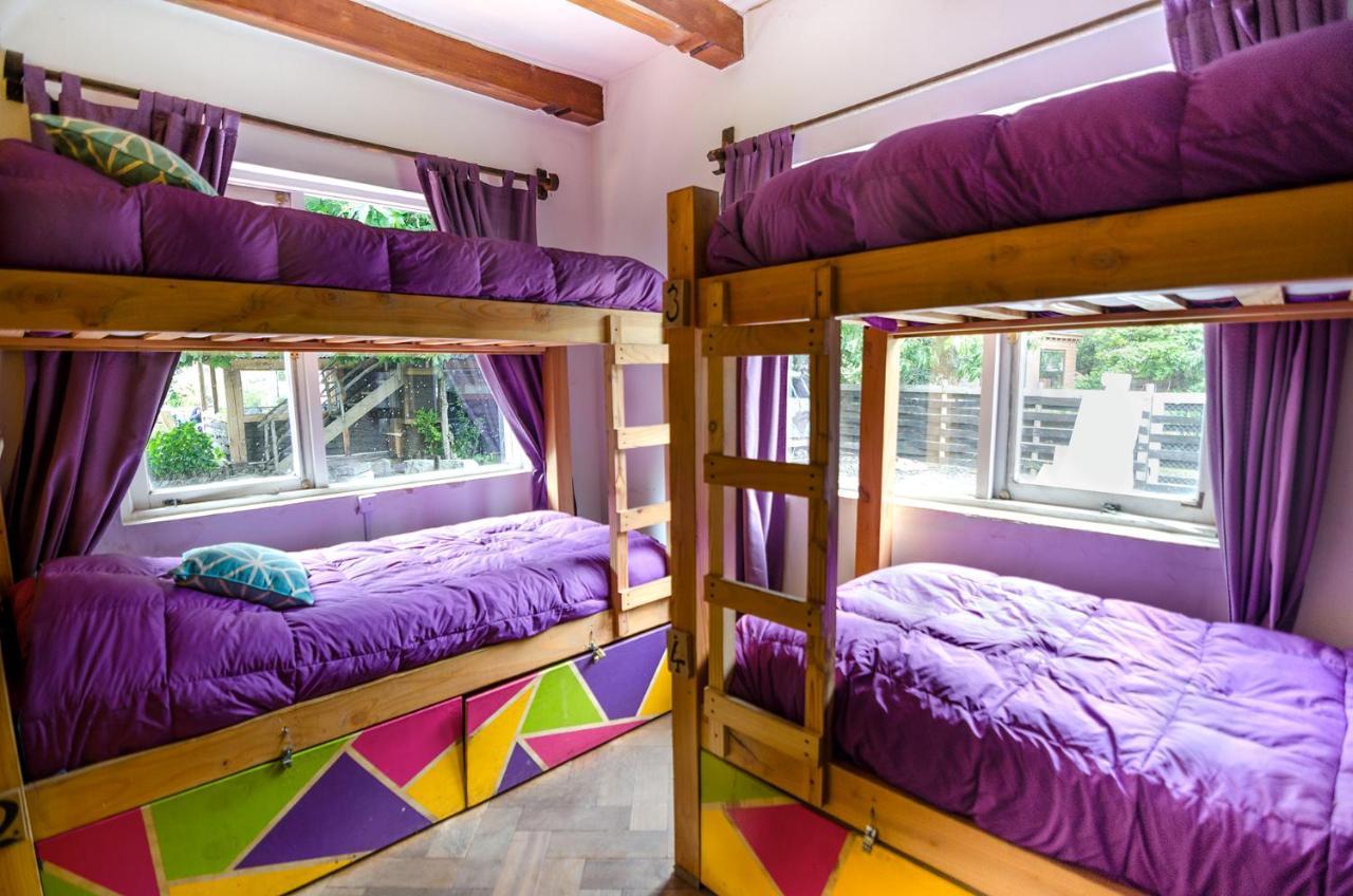Chili Kiwi Lakefront Backpackers Pucón Extérieur photo